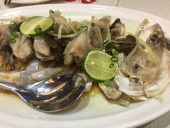 -潮庭港式茶餐厅·熊仔奶茶(同济广场店)