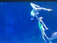 -华夏文旅海洋公园