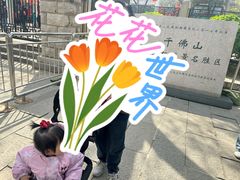 -千佛山风景名胜区