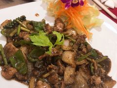-Daddy Nimman Chiang Mai