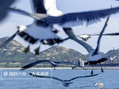 -海驴岛(荣成市)