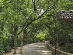 -灵岩山风景区
