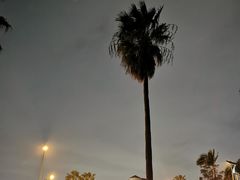 -椰风寨