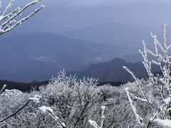 -东天目山风景区