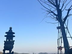 -东明山森林公园