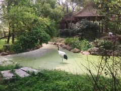 -南昌动物园