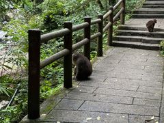 -西岭雪山大飞水景区