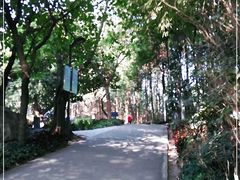 -南岗山公园