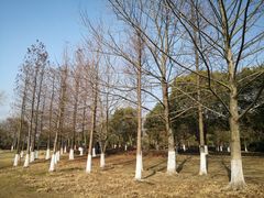 -长广溪湿地公园
