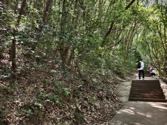 -赭山公园