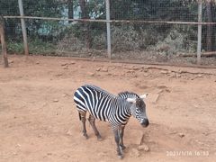 -昆明动物园