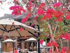 -比顿咖啡(和顺古镇店)