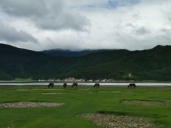 -纳帕海依拉草原