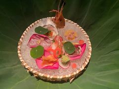 -地球美食剧场
