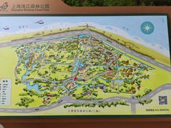 -上海滨江森林公园