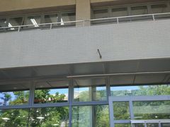 -农园餐厅(北京大学店)