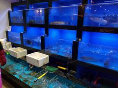 水产区-十碗头(诚信路店)