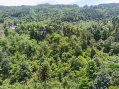 -梭布垭石林景区