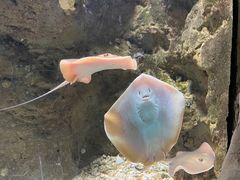 -杭州海底世界