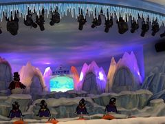 -帝企鹅自助餐厅•儿童岛•真企鹅(长隆企鹅酒店)