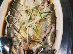 大白刁-茶叁酒肆·楚味江湖(菱角湖店)