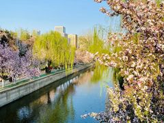 -海棠花溪(元大都城垣遗址公园)