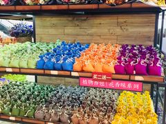 -L.C FLORA花予你(城西银泰城店)