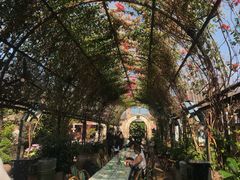 -The Grounds of Alexandria