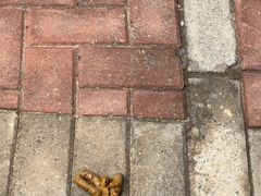 -朝鲜饭店(房山店)