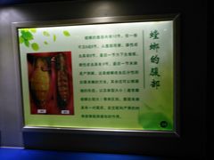 -上海昆虫博物馆