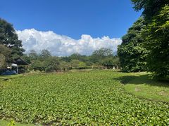 -中国科学院西双版纳热带植物园