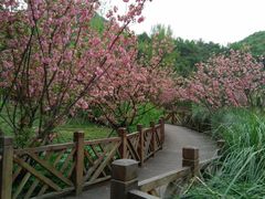 -贵阳市花溪国家城市湿地公园