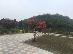 -洛阳古墓博物馆