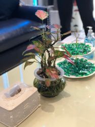 -清颜专业祛痘连锁店