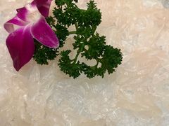 金鲷刺身-沙龙酒家