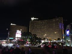 -拉斯维加斯永利酒店