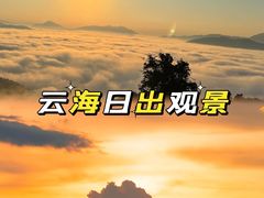 -西双版纳基诺山寨