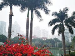 -江头公园