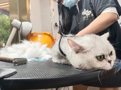 -喵汪宠物生活馆(涞坊路店)