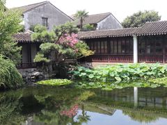 -艺圃