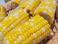 -光明招待所(邦凯科技园店)