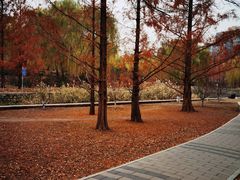 -元大都城垣遗址公园