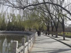 -莲花池公园