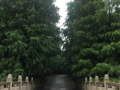 -上海海湾国家森林公园