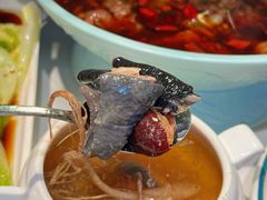 -横琴购口岸商业广场