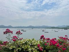 -湖畔居茶楼(湖滨店)