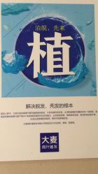 -大麦微针植发全国连锁