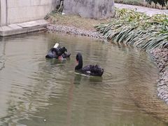 -西安曲江寒窑遗址公园
