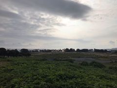 -柱状节理带
