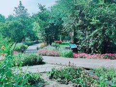 -长春公园(普阳街道)